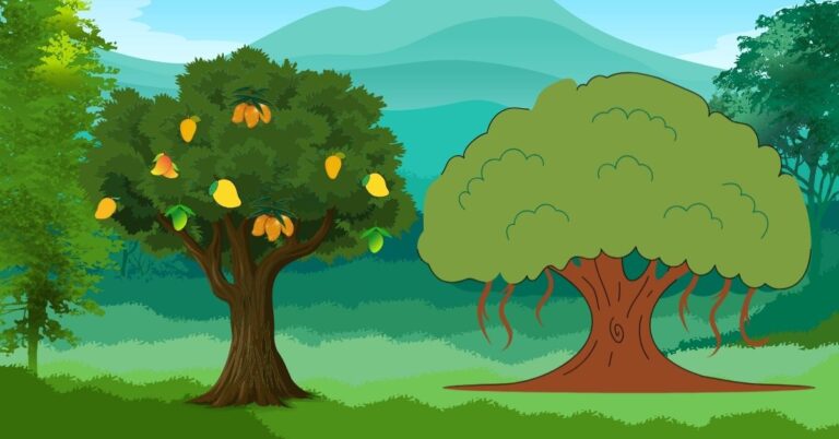 UP Board Solutions Class 6 English Rainbow Chapter 2