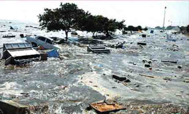 NCERT Class 8 English Chapter 2 The Tsunami