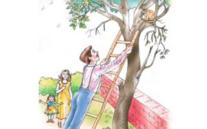 NCERT Class 7 English Dad And The Cat And The Tree