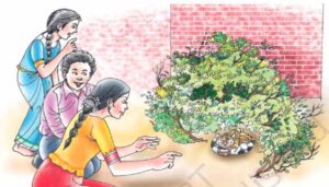 NCERT Class 7 English Honeycomb A Gift of Chappals