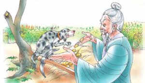 NCERT Class 7 English The Ashes That Made Trees Bloom